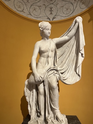 Skills Learned from Digital History